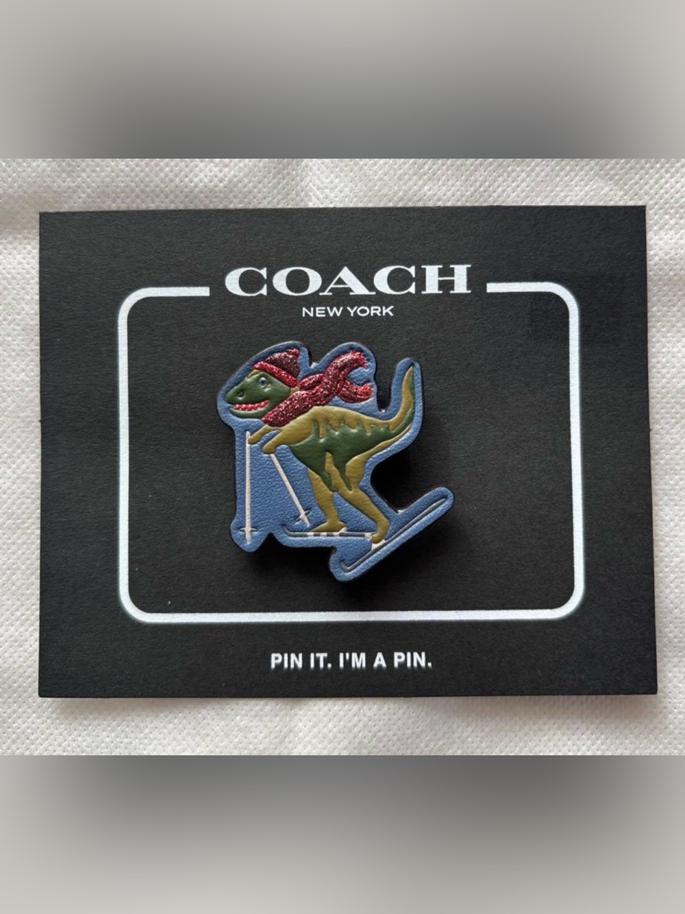 Coach Leather Skiing Rexy Pin NIP